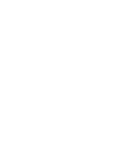 Logo Sanautos_Renault Logo