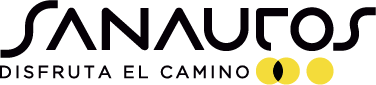 Logo Sanautos_Renault N